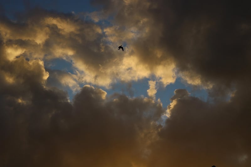 ciel