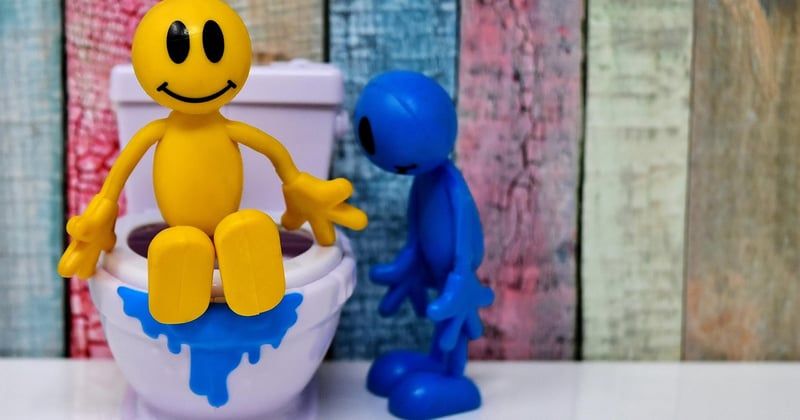 Vers dans les toilettes : pourquoi et comment s'en débarrasser