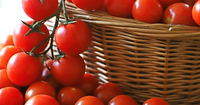Ce que coûte vraiment un panier de légumes bio