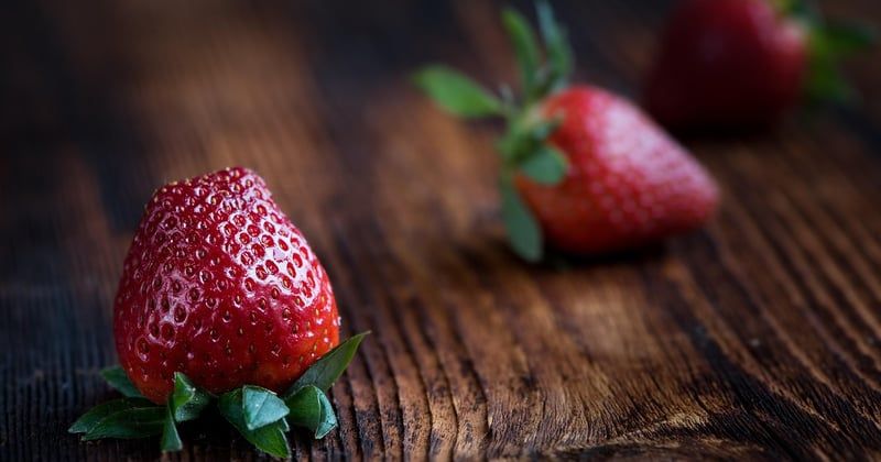 Comment poussent les fraises : guide complet de la culture au jardin