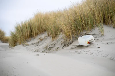 dunes